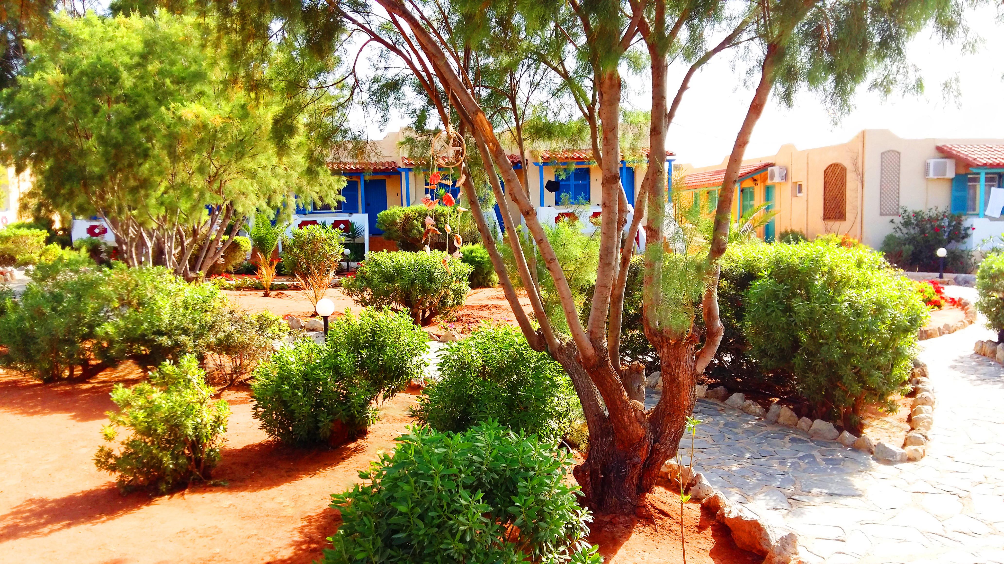 Zorbas Beach Village Hotel Stavrós Exterior foto
